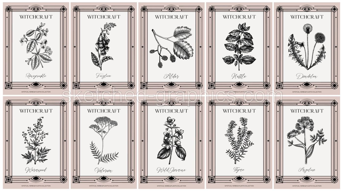 Art deco apothecary labels set. Witchcraft, healing herbs, mystical plants sketches. Vintage frame design templates. NOT AI generated Illustration
